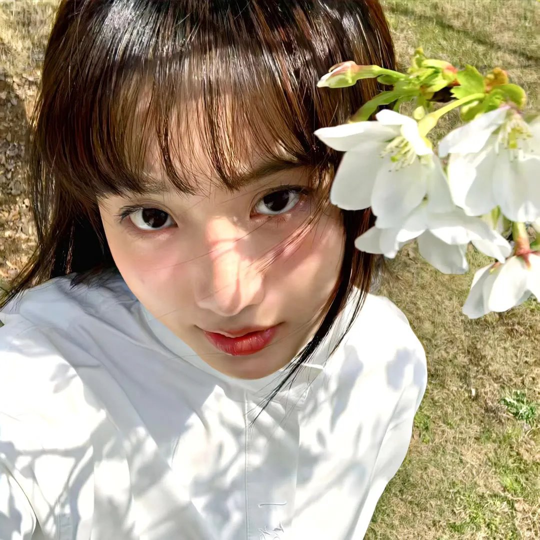 妄想学生会2 剧场版 在线观看封面